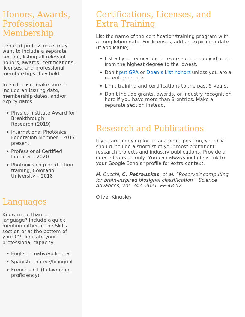 CV Template Star preview